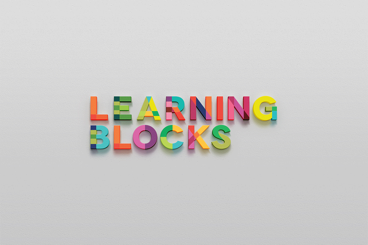 moloney-me-branding-learning-blocks